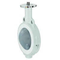 Gemue 490 Edessa Butterfly valve with bare shaft (88570089)