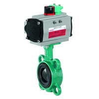 Gemue D481 Victoria Pneumatically operated butterfly valve (88361630)