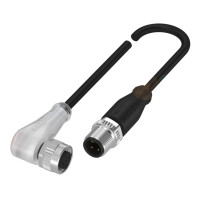 Balluff BCC0ECP Double-ended cordsets