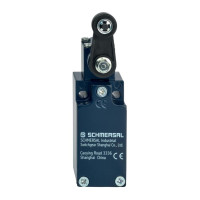 Schmersal TV1H 235-20Z (101136903)