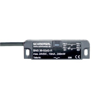 Schmersal BNS 36-02Z-R 2.0M (101216295)